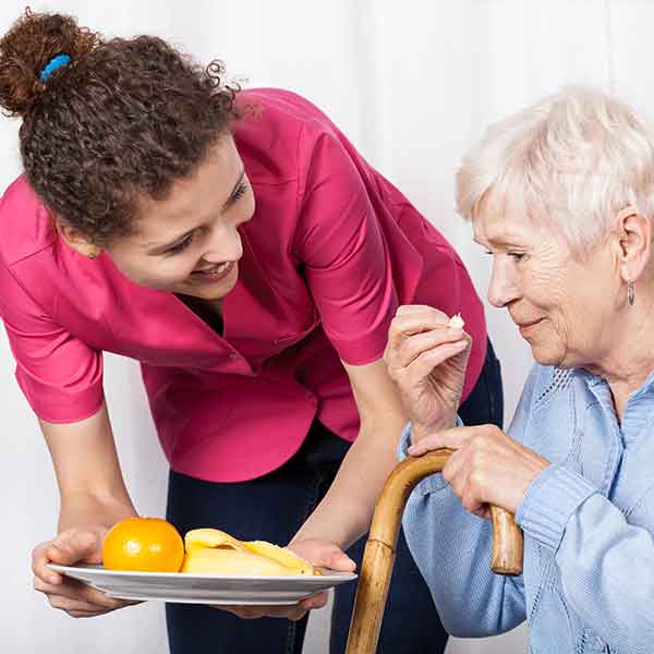 Palliative Care Services